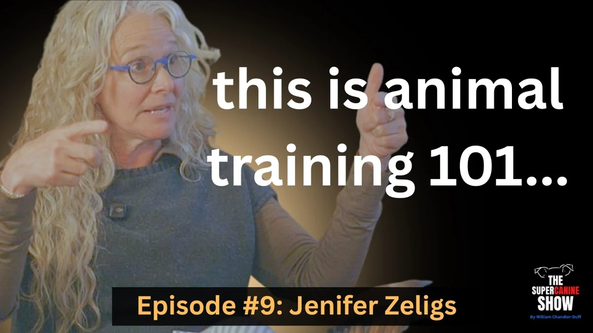 Jenifer Zeligs — episode artwork