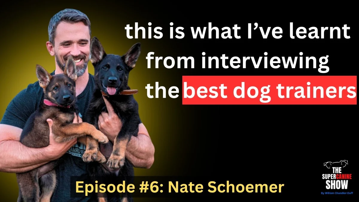 Nate Schoemer — episode artwork